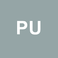 Put-Call Parity Calculator